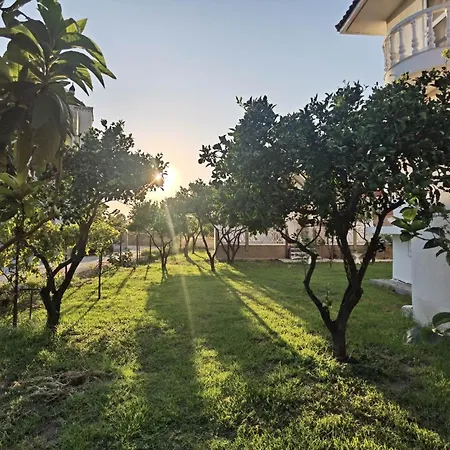 Freeman Greenlees Classical Greek Hotel 4*